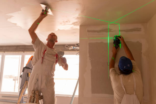 Best Drywall Sanding and Smoothing  in Kingsport, TN